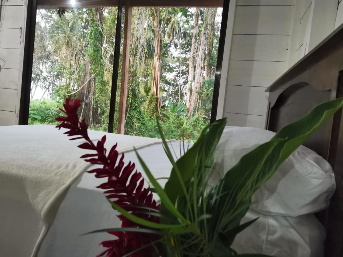 Hostal Cecilia Puerto Viejo de Talamanca Dış mekan fotoğraf